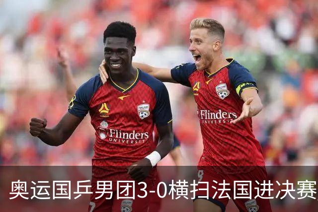 奥运国乒男团3-0横扫法国进决赛 将与瑞典争冠军