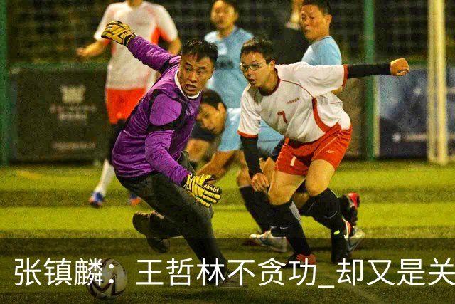 张镇麟：王哲林不贪功 却又是关键时刻能站出来的人 队长当之无愧